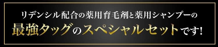 最強タッグのスペシャルセットです。