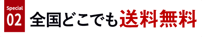 special02、全国どこでも送料無料