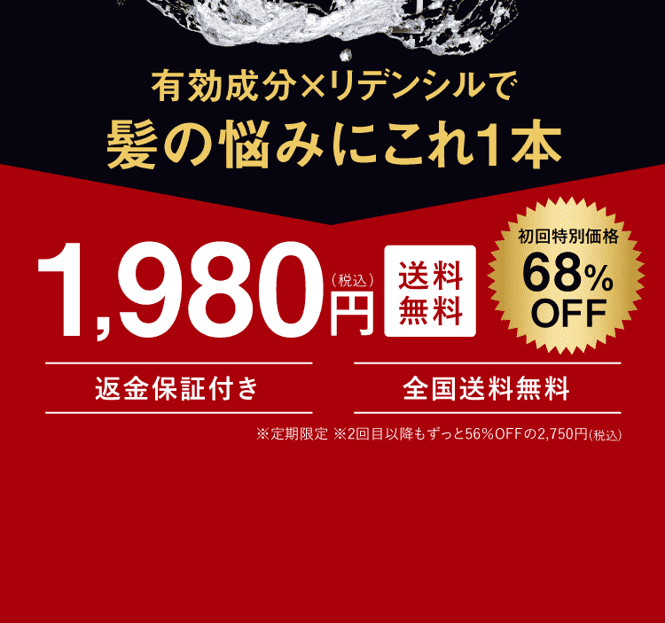 1,980円送料無料