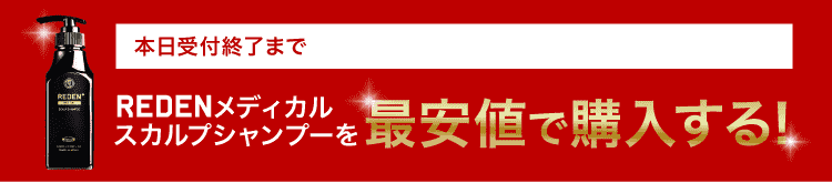 特別セットをお得に申し込む