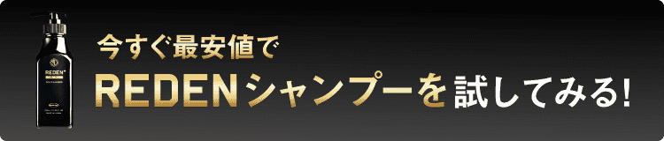 特別セットをお得に申し込む